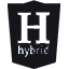 Hybrid App Development 