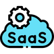 SaaS MVP Development 